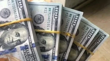 تحديثات الصرف.. سعر الدولار أمام الجنيه المصري في تعاملات البنوك اليومية